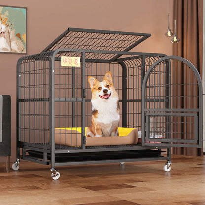 Detached Home Indoor Fenced Corgi Kennel