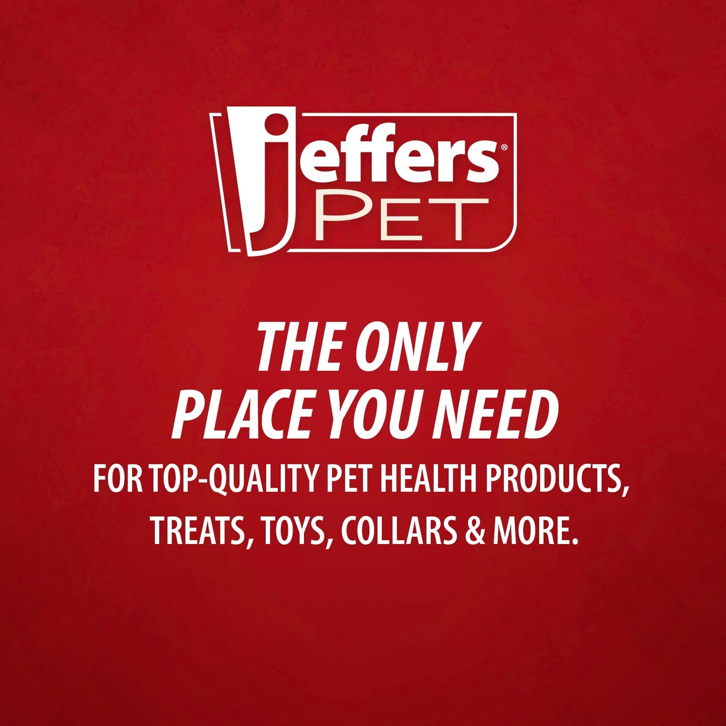 Jeffers Dual Level Pin Universal Slicker Pet Grooming Brush